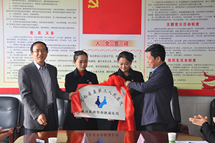 国产69精品久久久久人妻