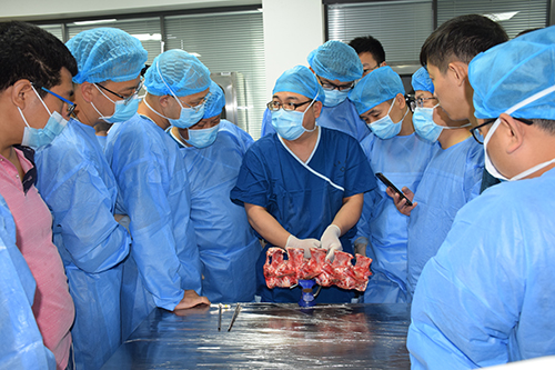 1593500278912439.jpg 10.jpg