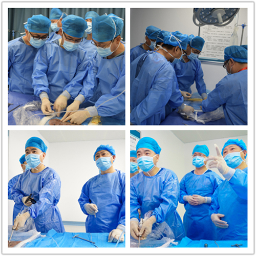 1595898690367350.jpg 25.jpg