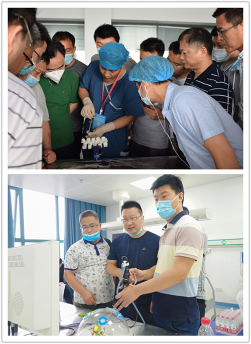 1595898748580366.jpg 27.jpg