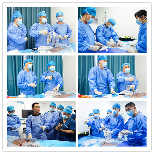 1599702863651787.jpg W020200824438793755837.jpg