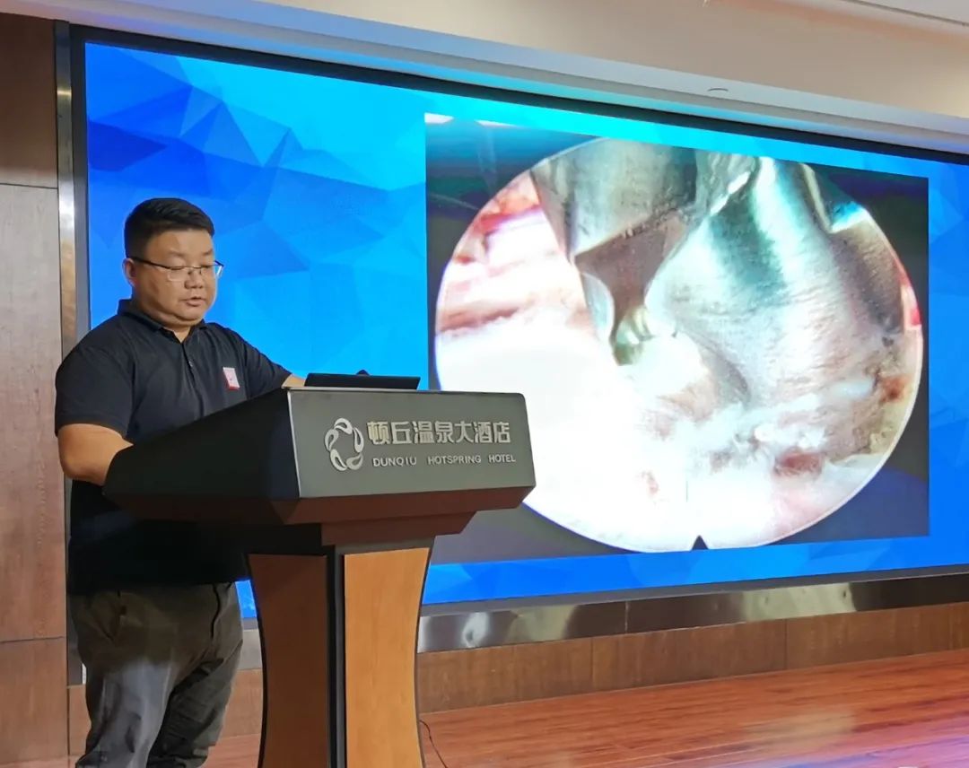 1602745777233333.png 1602745777233333.png