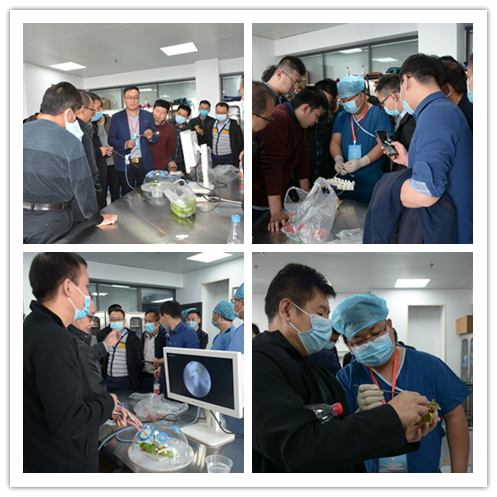 1604651849666138.png W020201026369846230184.png