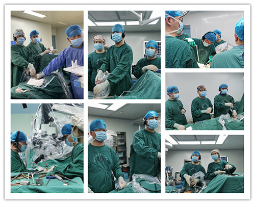 1615201529698683.jpg 8.jpg