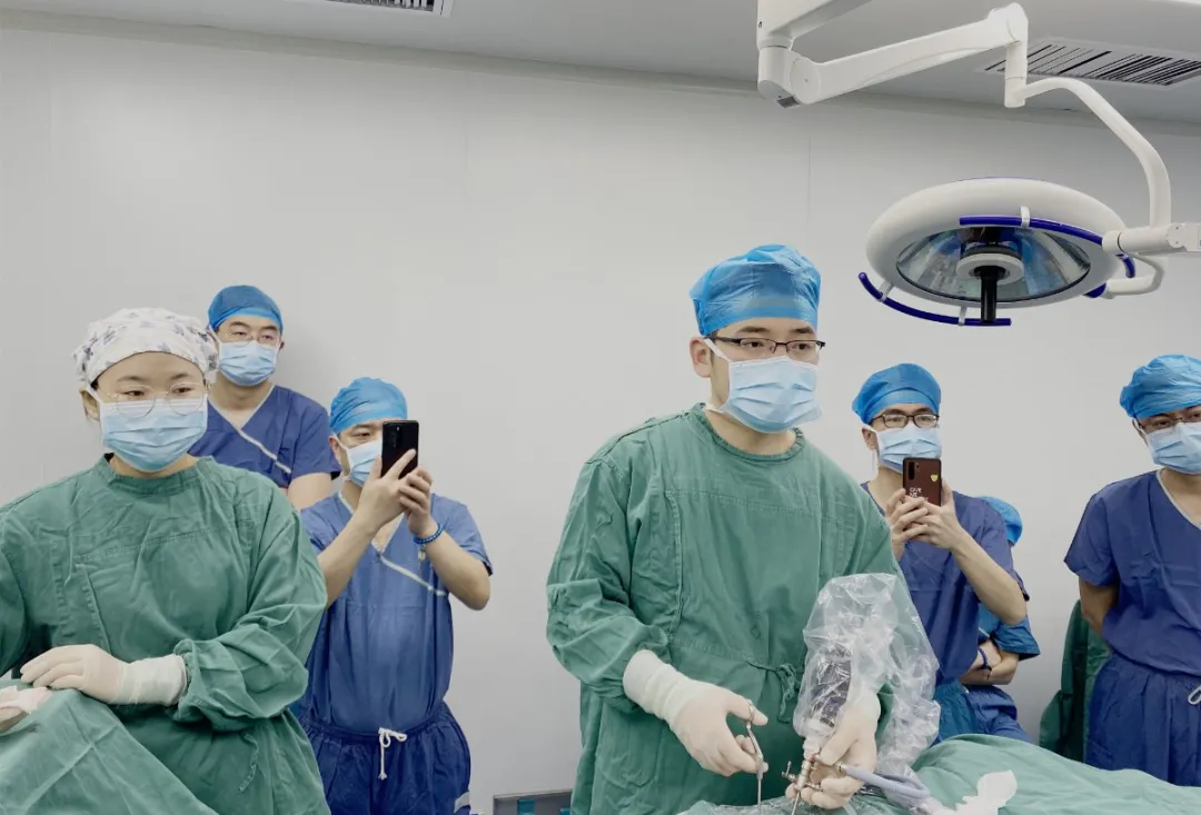 1619423503736268.png 1619423503736268.png