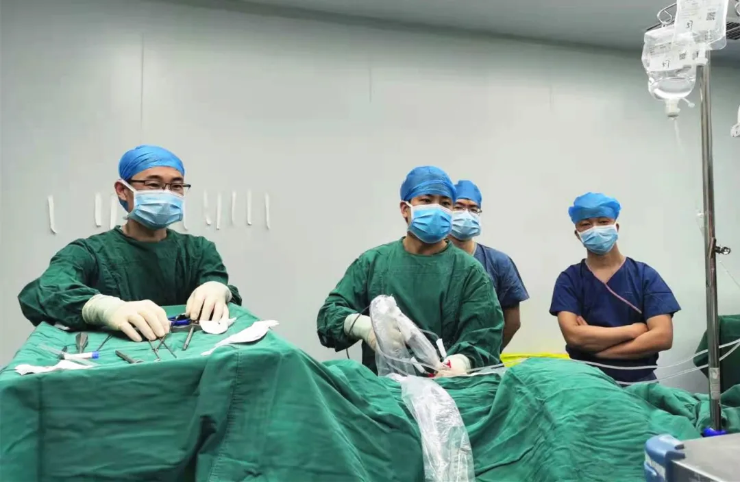 1619423512722109.png 1619423512722109.png