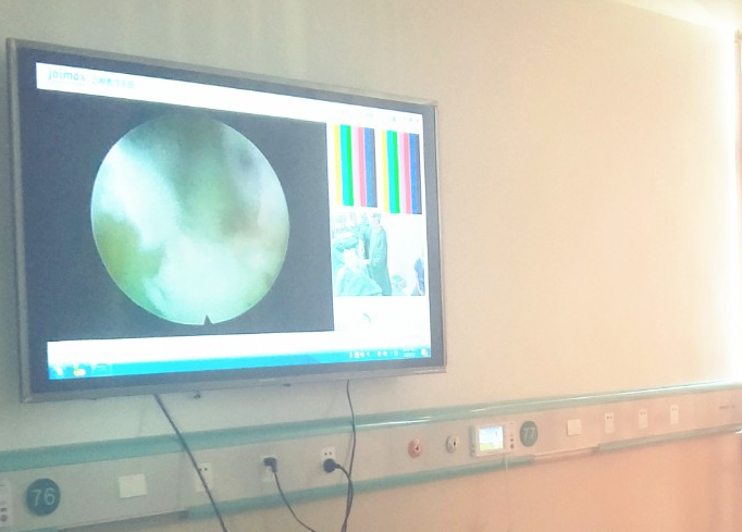 1619423559900565.png 1619423559900565.png