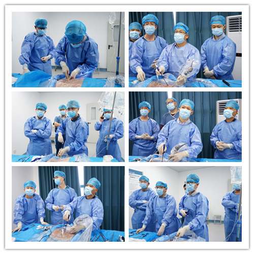 1619606780667873.jpg 27.jpg