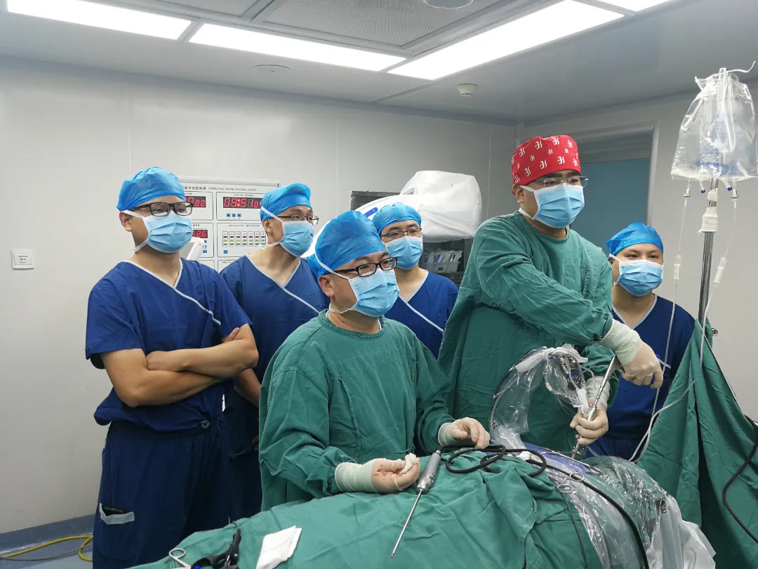 1637115208447524.jpg 1637115208447524.jpg