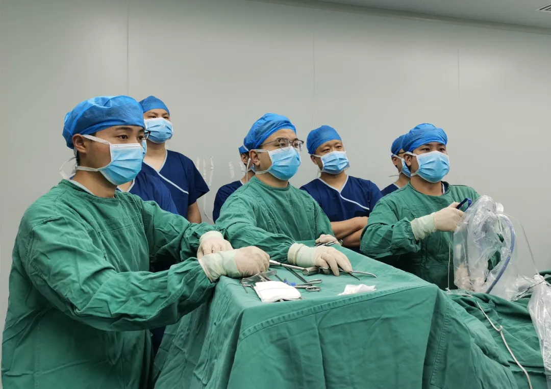 1637115223377079.jpg 1637115223377079.jpg