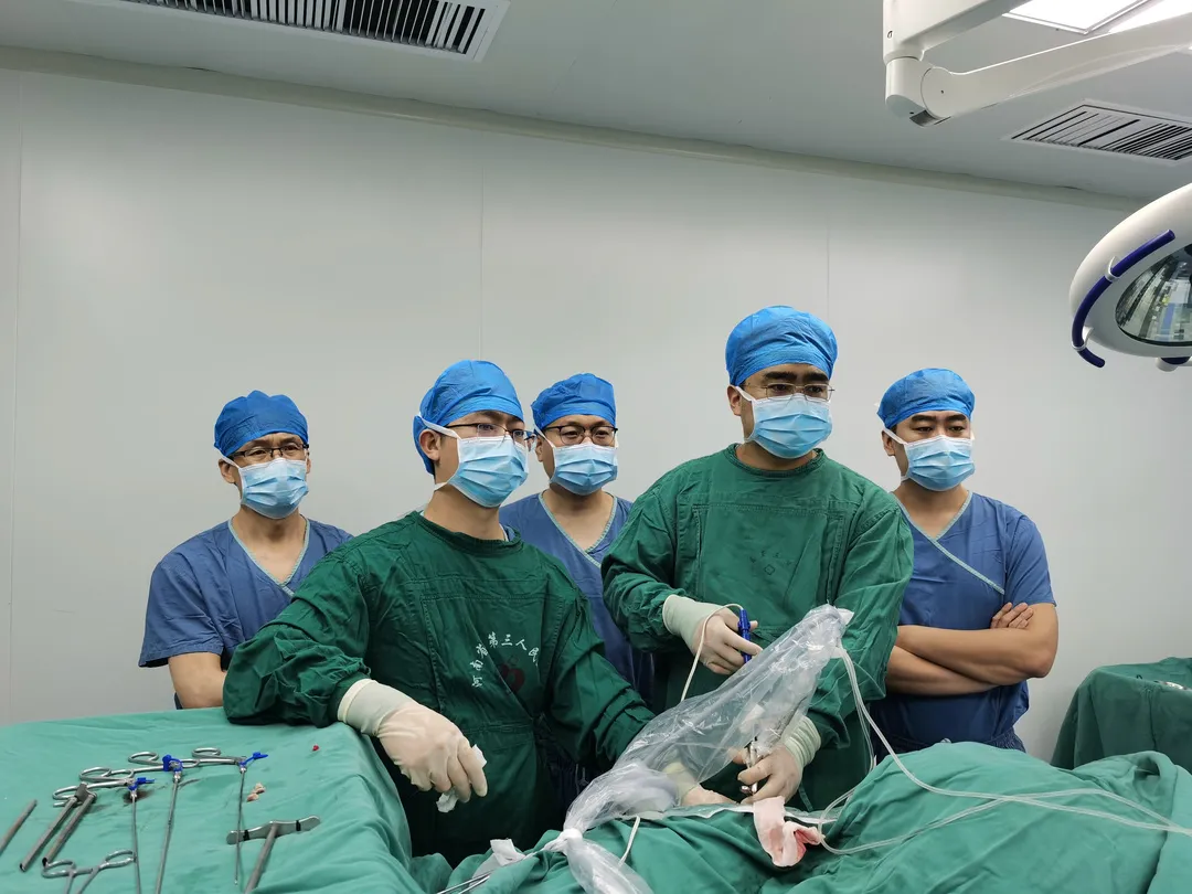 1640932261876502.jpg 1640932261876502.jpg