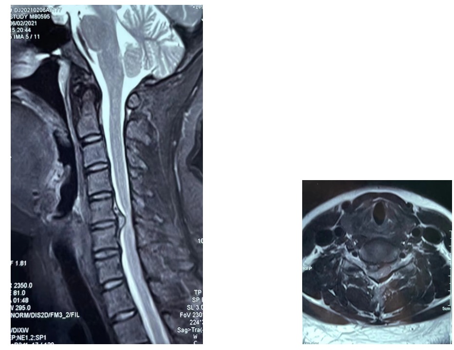 1650938943634494.jpg 1.jpg