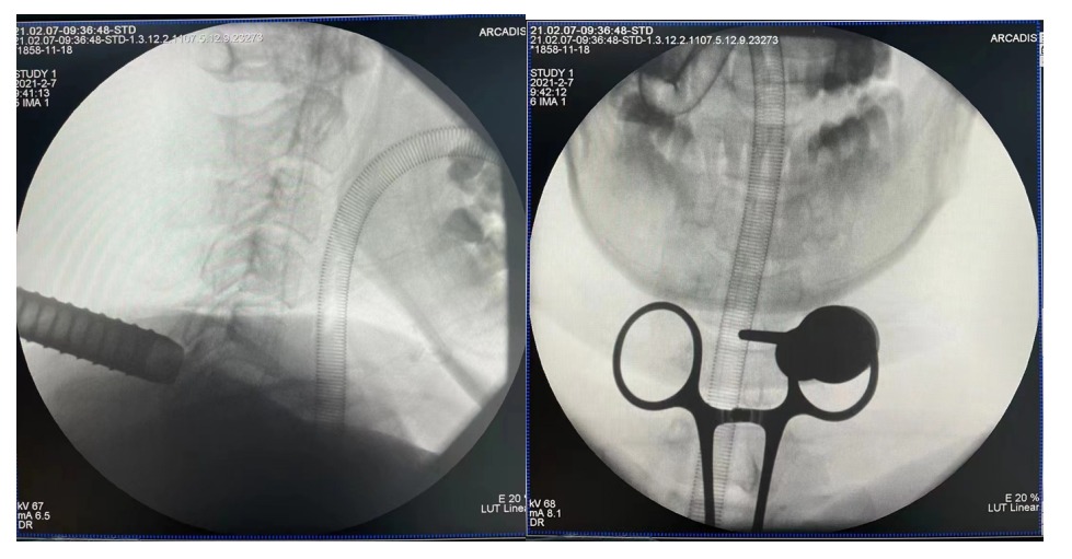 1650938959748763.jpg 3.jpg