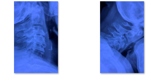 1650939726985276.png image.png