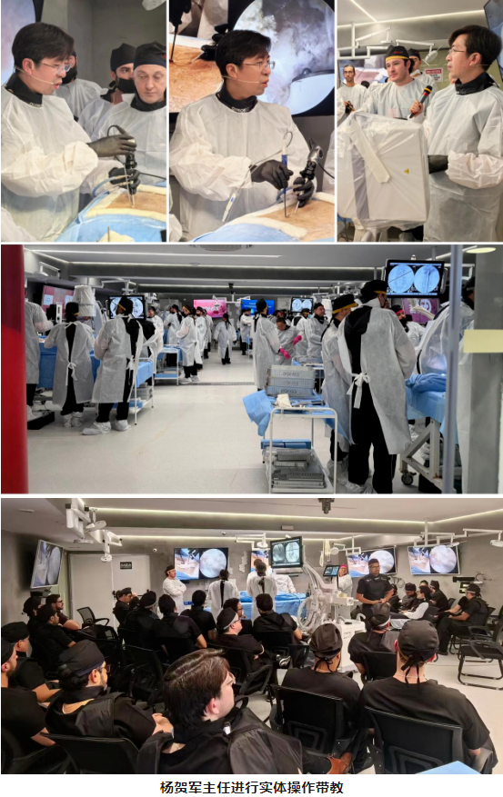 1740533395386315.png 图片.png