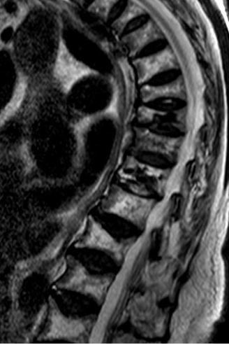 1741746454676348.png 图片.png